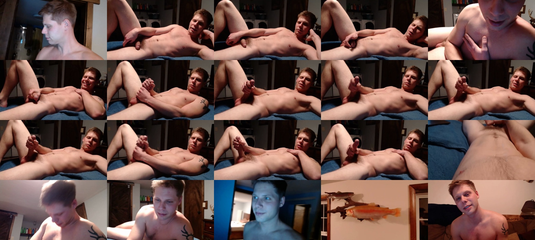 Lancehardin  01-03-2021